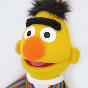 GUND Sesame Street Bert 14" Plush