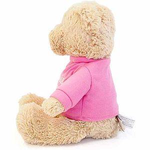 GUND I'm the Big Sister T-Shirt Teddy Bear Stuffed Animal 12”