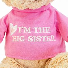 GUND I'm the Big Sister T-Shirt Teddy Bear Stuffed Animal 12”