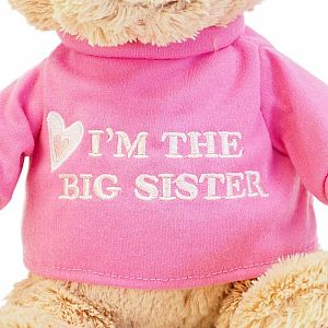 GUND I'm the Big Sister T-Shirt Teddy Bear Stuffed Animal 12”